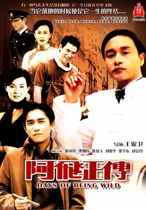 法兰克福应用技术大学 Market Development Degrees
